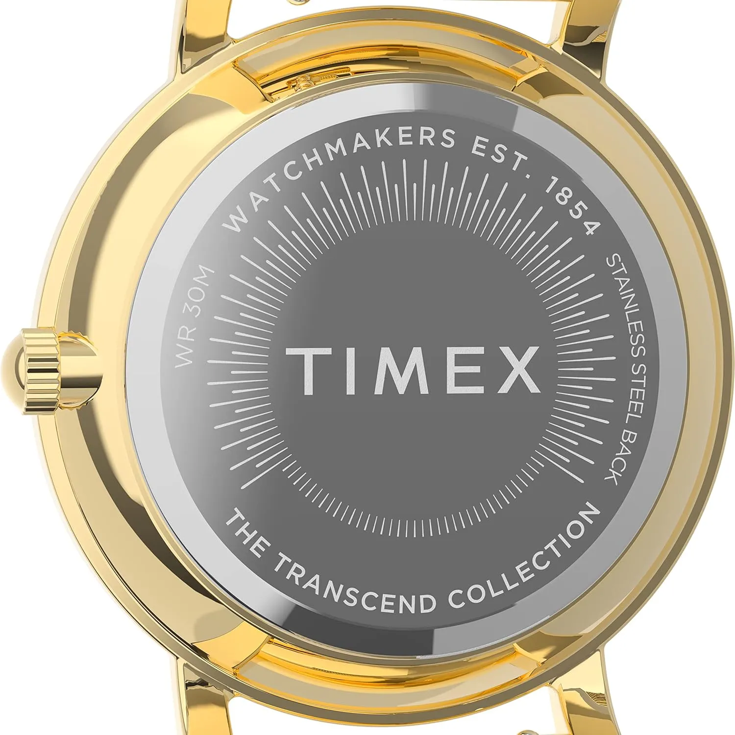 ideomotor vivify foreshorten demise relate Watch | Stylish Modern Design Timex Transcend 34mm Women??s Analog 